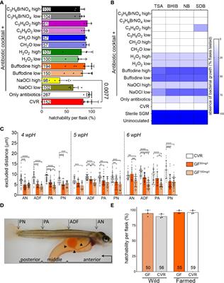 A novel gnotobiotic experimental system for Atlantic salmon (Salmo salar L.) reveals a microbial influence on mucosal barrier function and adipose tissue accumulation during the yolk sac stage